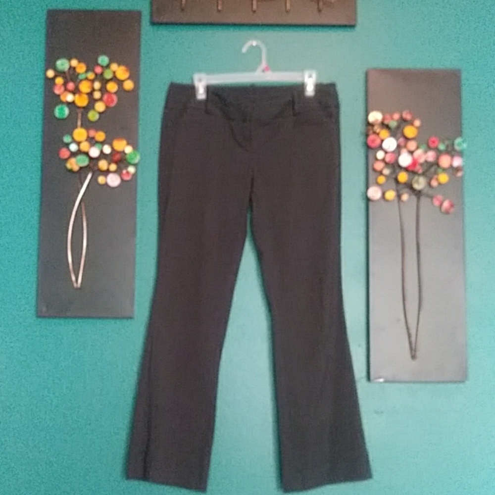 Limited Exact Stretch pants